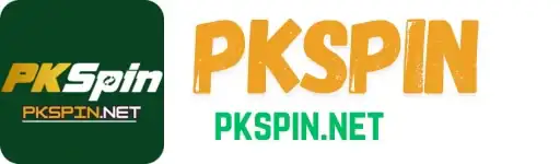 pkspin Logo